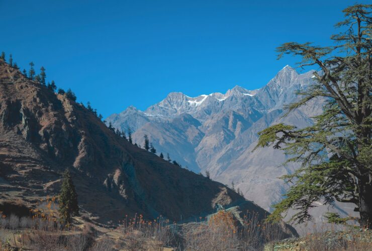 Annapurna Circuit vs Everest Base Camp Which Trek Is Right for You - Photo by Ashok J Kshetri on Pexels