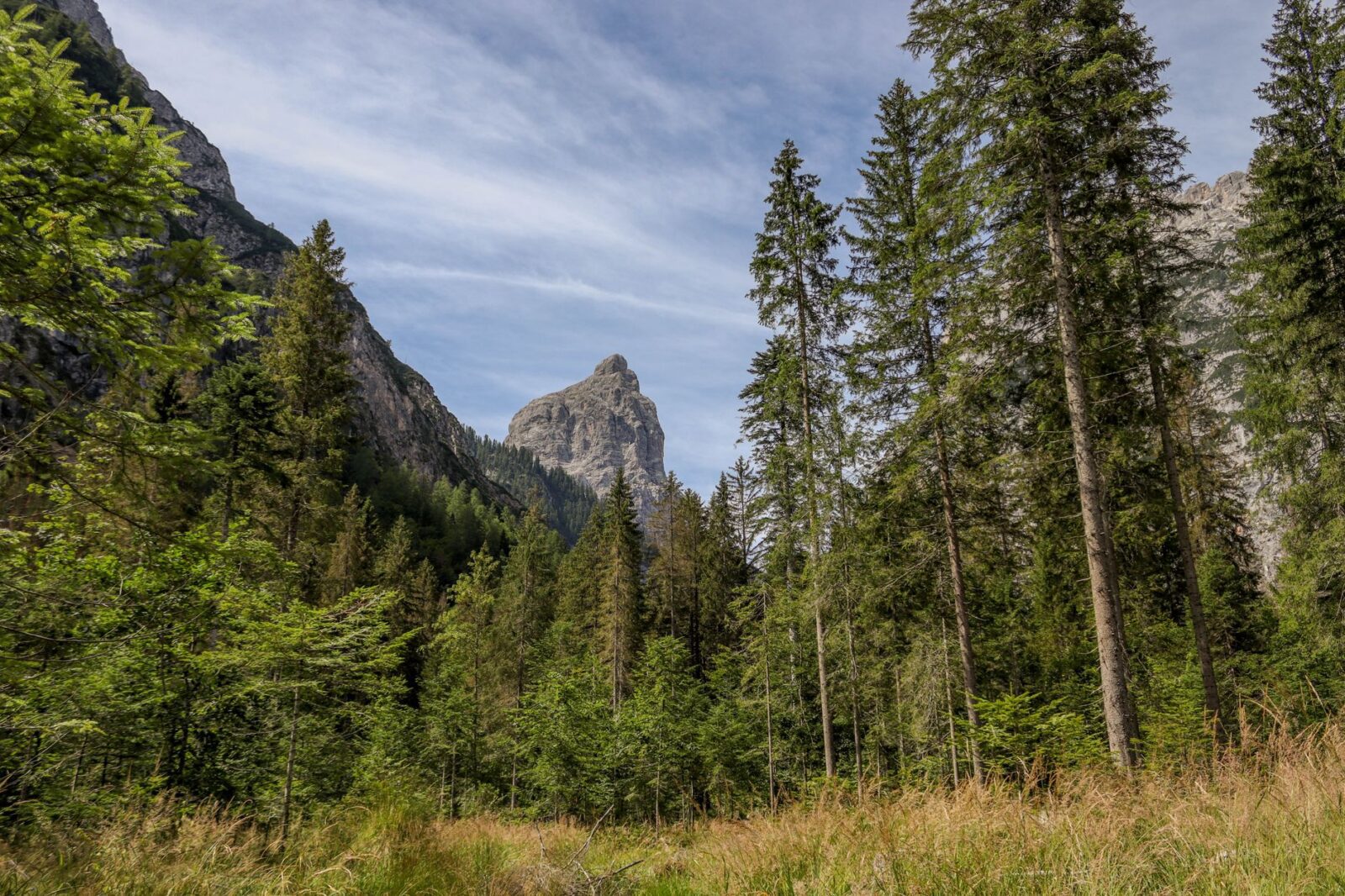 Avoid the crowds: 7 state parks with national park-worthy wonders to explore - Photo by Lorenza Magnaghi on Pexels