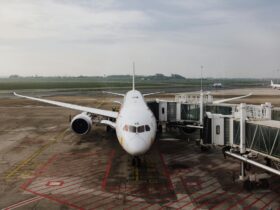 flight travel insurance - Photo by K on Pexels