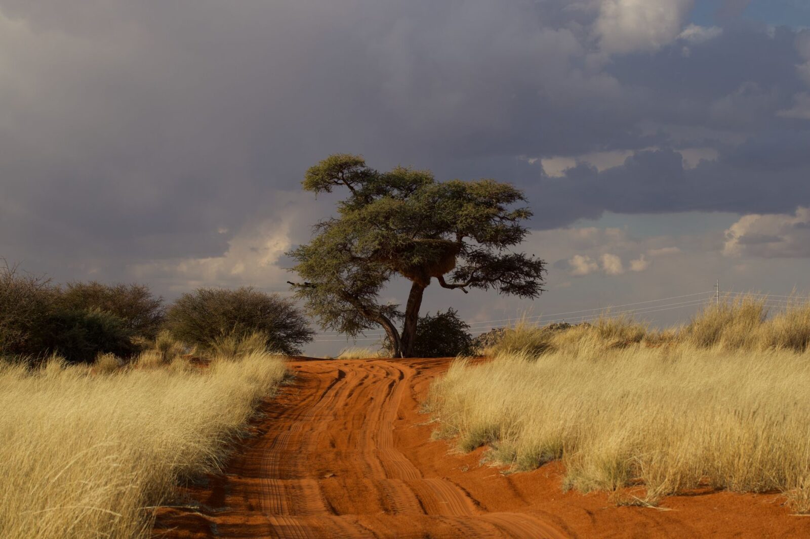 Level 1 - Diphtheria in Sub-Saharan Africa - Photo by Ryan Lansdown on Pexels