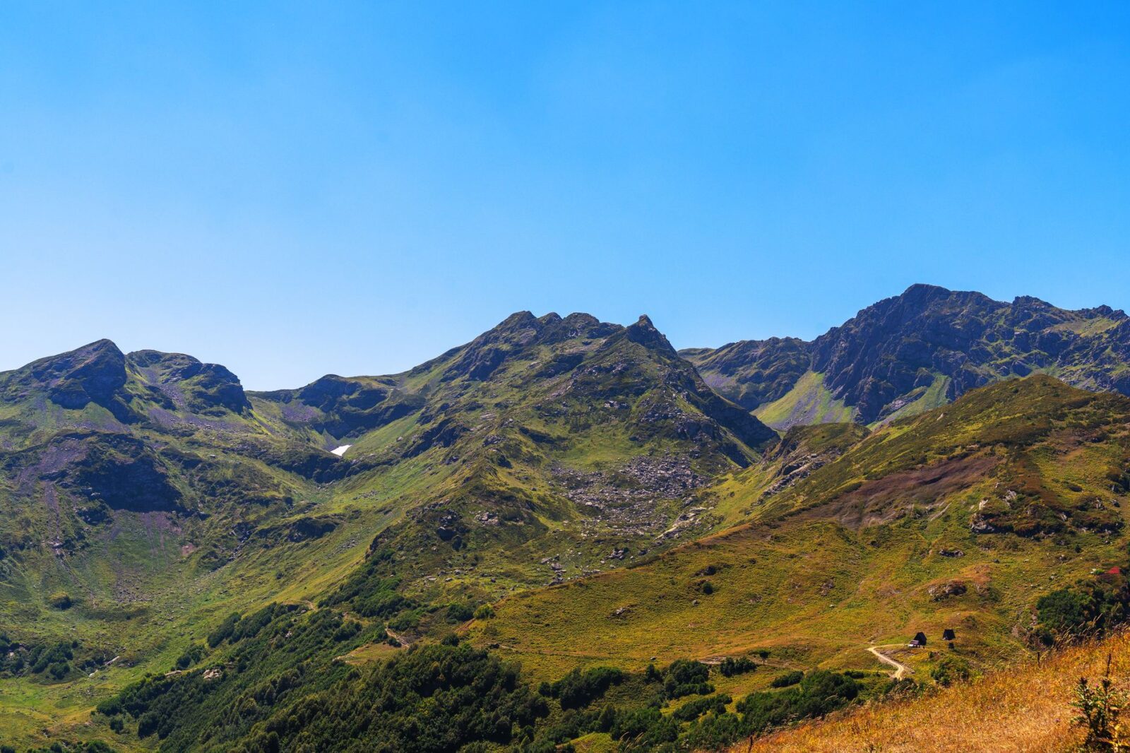 Top Hill Stations in India That Tourists Haven't Discovered Yet — Updated Guide - Photo by Siarhei Nester on Pexels