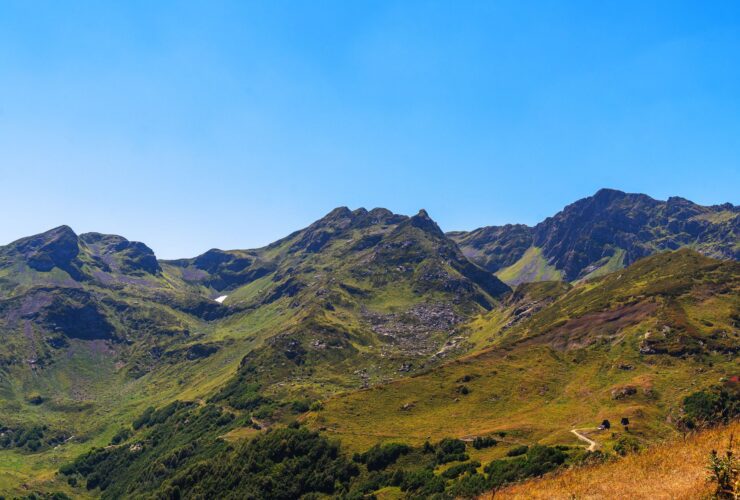 Top Hill Stations in India That Tourists Haven't Discovered Yet — Updated Guide - Photo by Siarhei Nester on Pexels