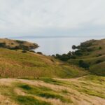 AIP Visa Growth Category expands to philanthropy - Photo by Petra Reid on Pexels
