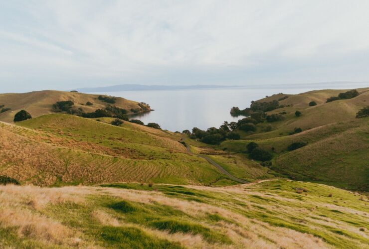 AIP Visa Growth Category expands to philanthropy - Photo by Petra Reid on Pexels