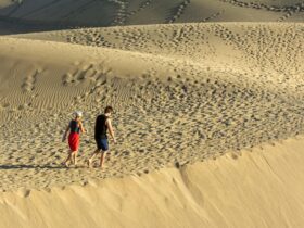 As Climate Change Persists, So Does Its Threat to My Faith Traditions - Photo by Jan van der Wolf on Pexels