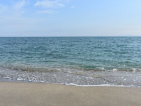 Blue Flags 2026: Calabria’s tally rises to 27 - Photo by O.Sha on Pexels