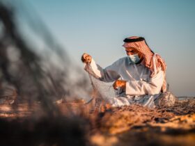 Level 2 - Malaria in Yemen - Photo by Pareekshith Indeever on Pexels