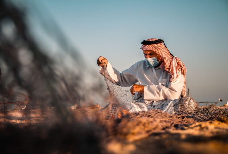 Level 2 - Malaria in Yemen - Photo by Pareekshith Indeever on Pexels