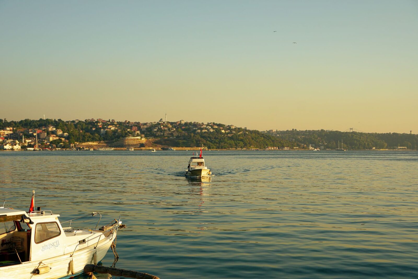 Joint statement on the Multinational Military Mission for the Strait of Hormuz: 12 May 2026 - Photo by İrem Yılmaztürk on Pexels