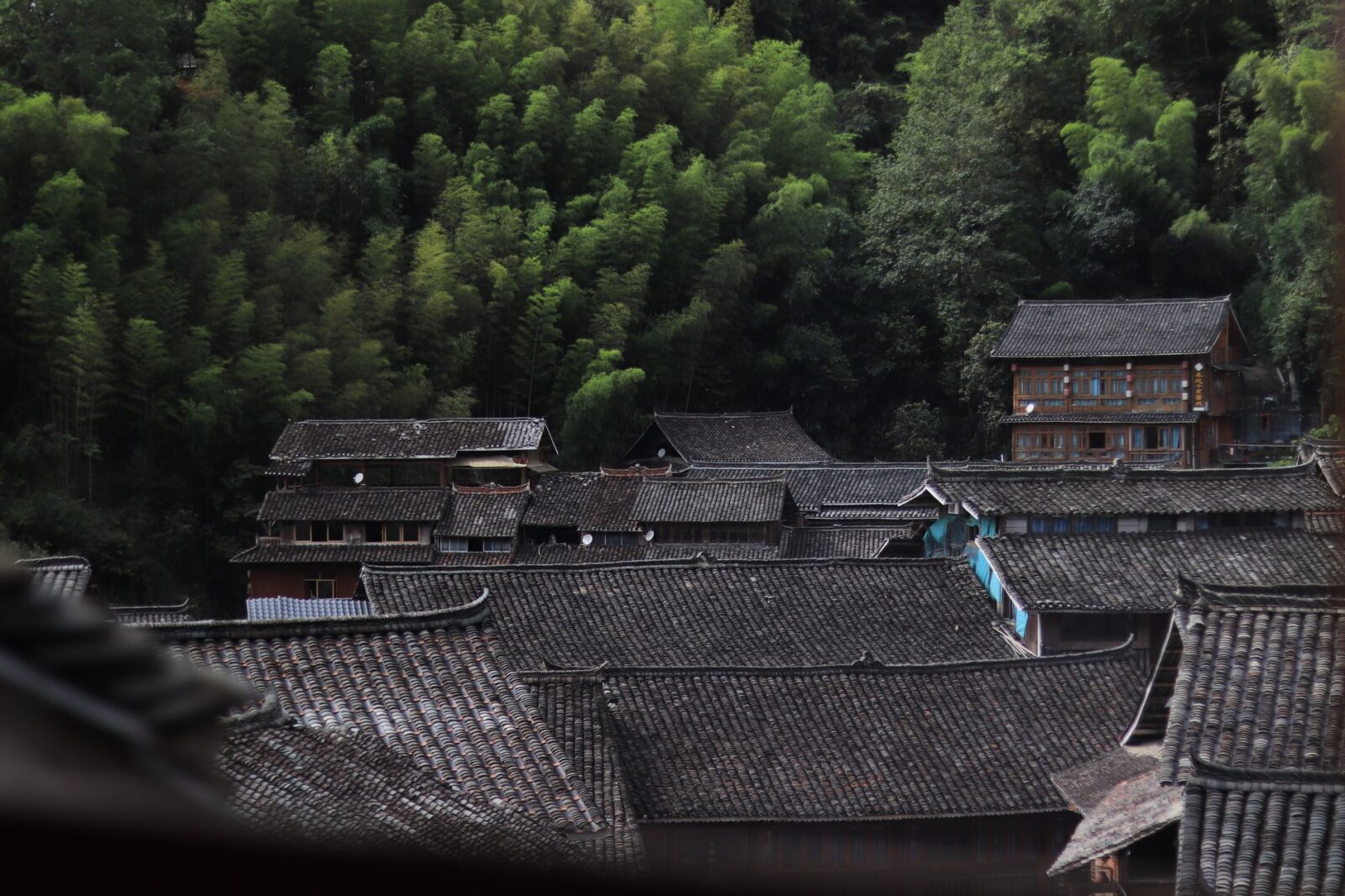 Top Hill Stations in India That Tourists Haven't Discovered Yet — Updated Guide - Photo by C_jinting 陈 on Pexels
