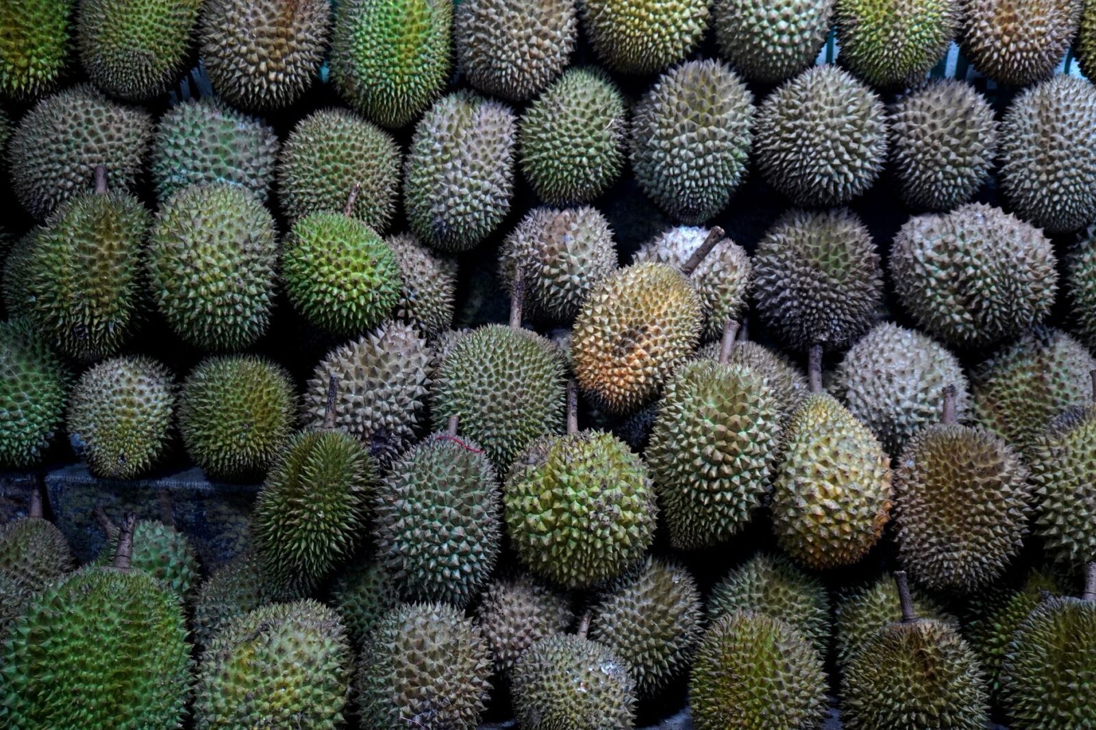 Strangest Foods You Can Only Find in Southeast Asia - Photo by Ramadhan Bagaskara Arya P on Pexels