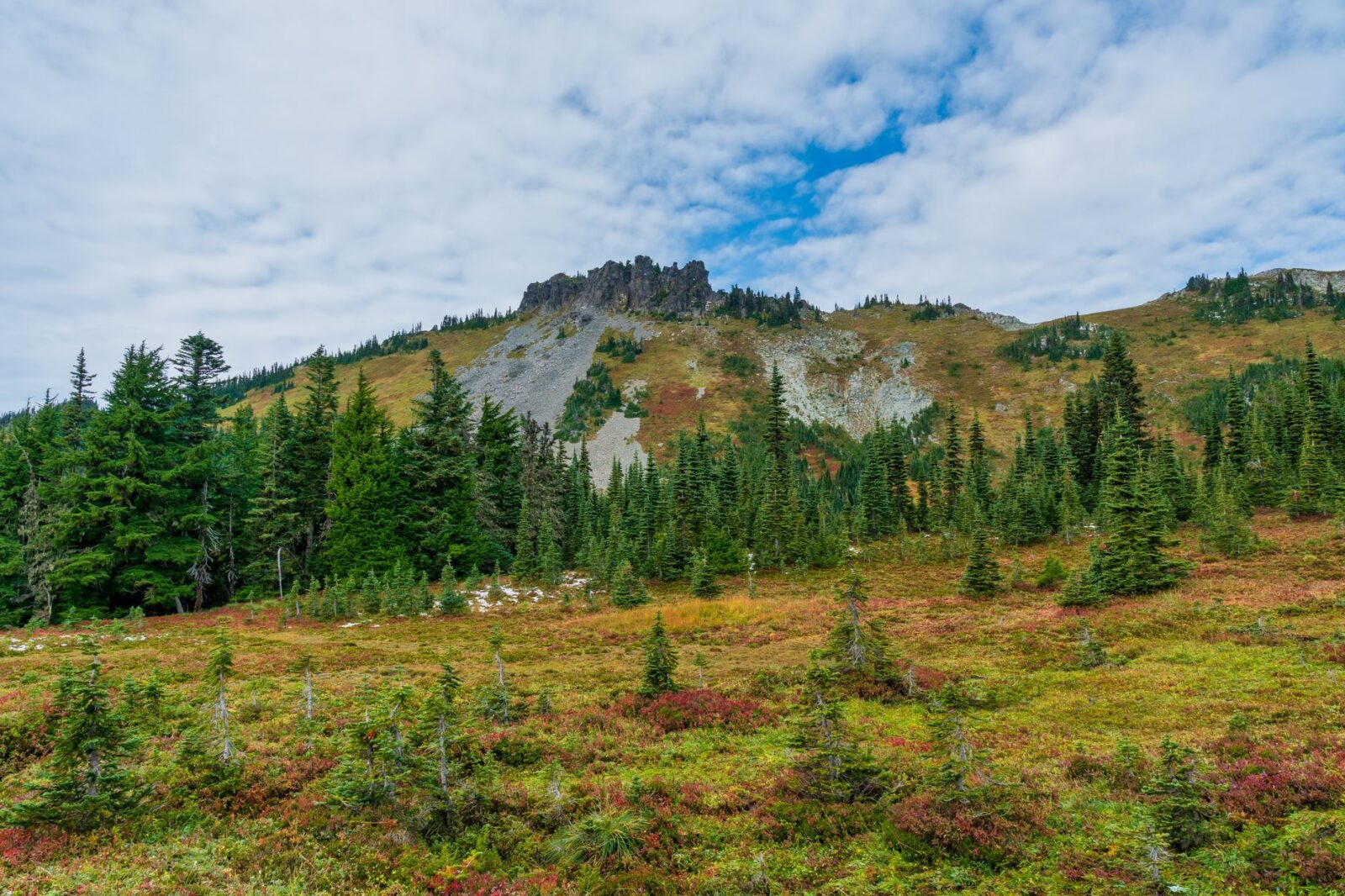 Where Was Twilight Filmed? Sinking Our Teeth Into the Real Forks, Washington And Other Filming Locations - Photo by JOHN CALLERY on Pexels