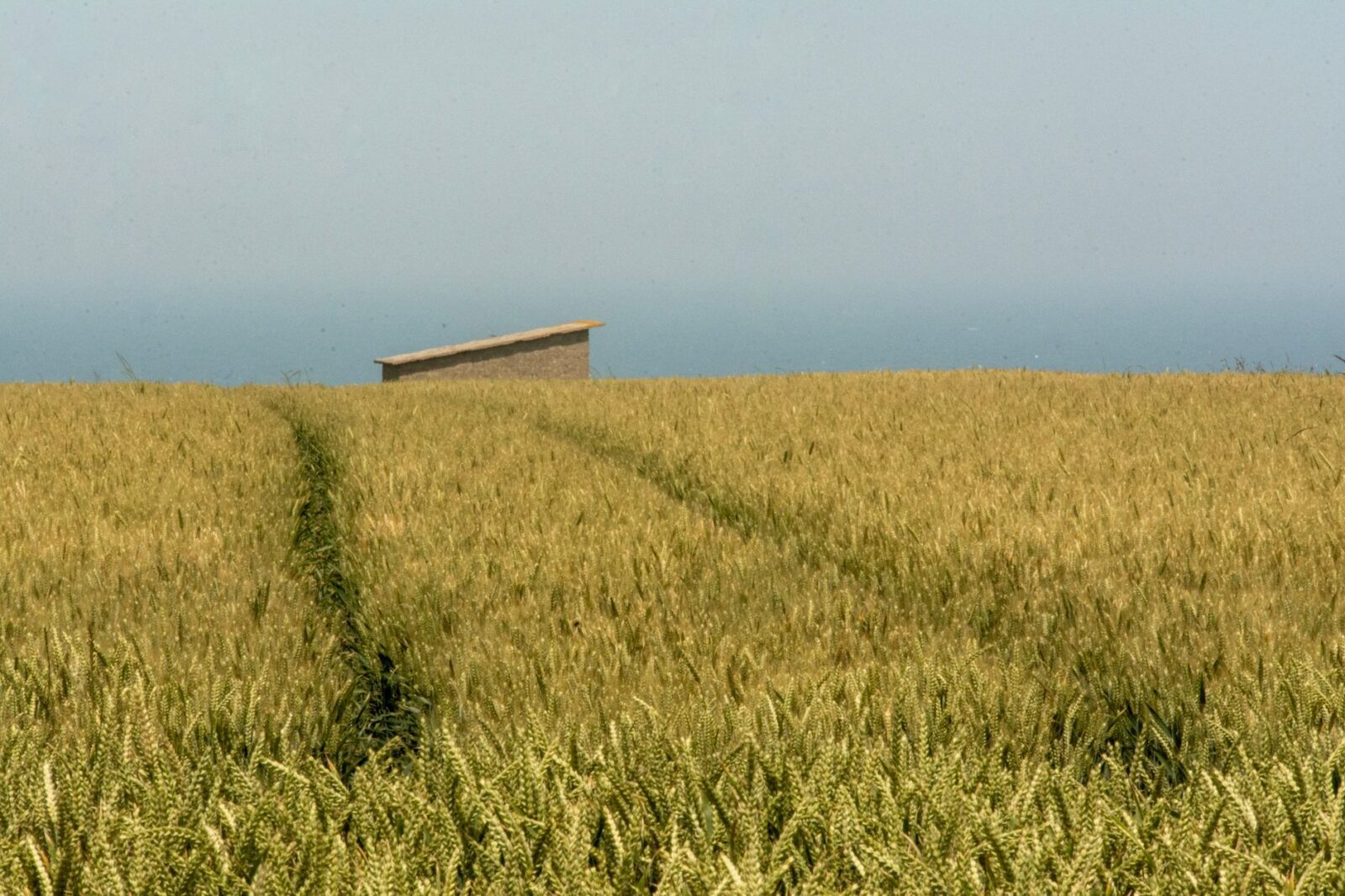 Île de Ré Is France’s Answer to Martha’s Vineyard: A Guide to the Island - Photo by Jan van der Wolf on Pexels