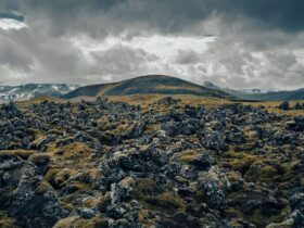 The Best Luxury Experiences Leave Some Slack in the System - Photo by Raul Ling on Pexels