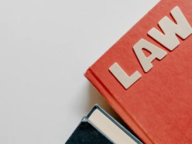 Bizarre Laws That Could Get You in Trouble While Traveling — Updated Guide - Photo by Tara Winstead on Pexels