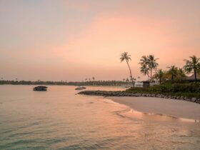 The Best Caribbean Islands for Couples, Whether You're in Your Honeymoon Stage or Golden Years - Photo by Asad Photo Maldives on Pexels