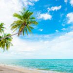 Maldives on a Budget Is It Actually Possible — Updated Guide - Photo by ธันยกร ไกรสร on Pexels