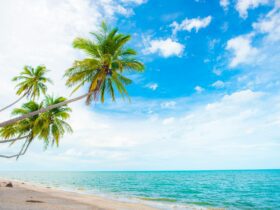 Maldives on a Budget Is It Actually Possible — Updated Guide - Photo by ธันยกร ไกรสร on Pexels