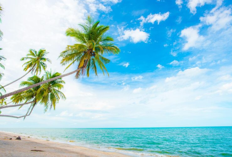 Maldives on a Budget Is It Actually Possible — Updated Guide - Photo by ธันยกร ไกรสร on Pexels