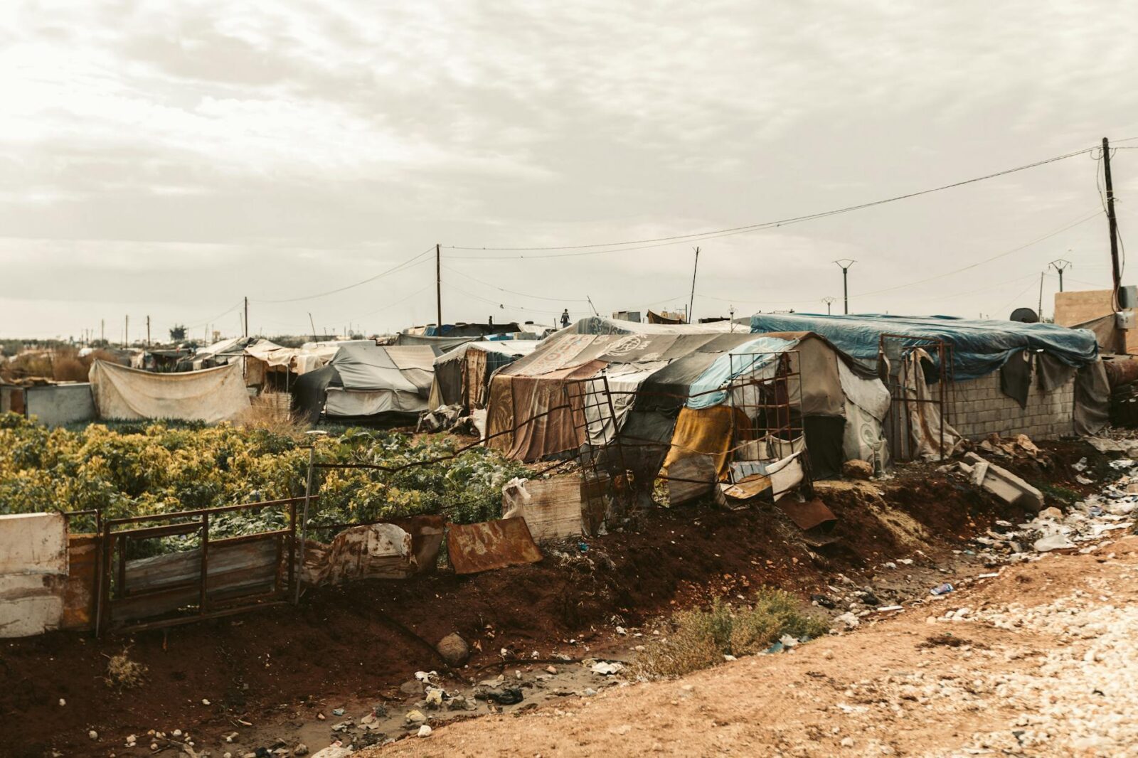 The United Kingdom remains steadfast in our commitment to the complete elimination of chemical weapons in Syria: UK statement at the UN Security Council - Photo by Abd Alrhman Al Darra on Pexels