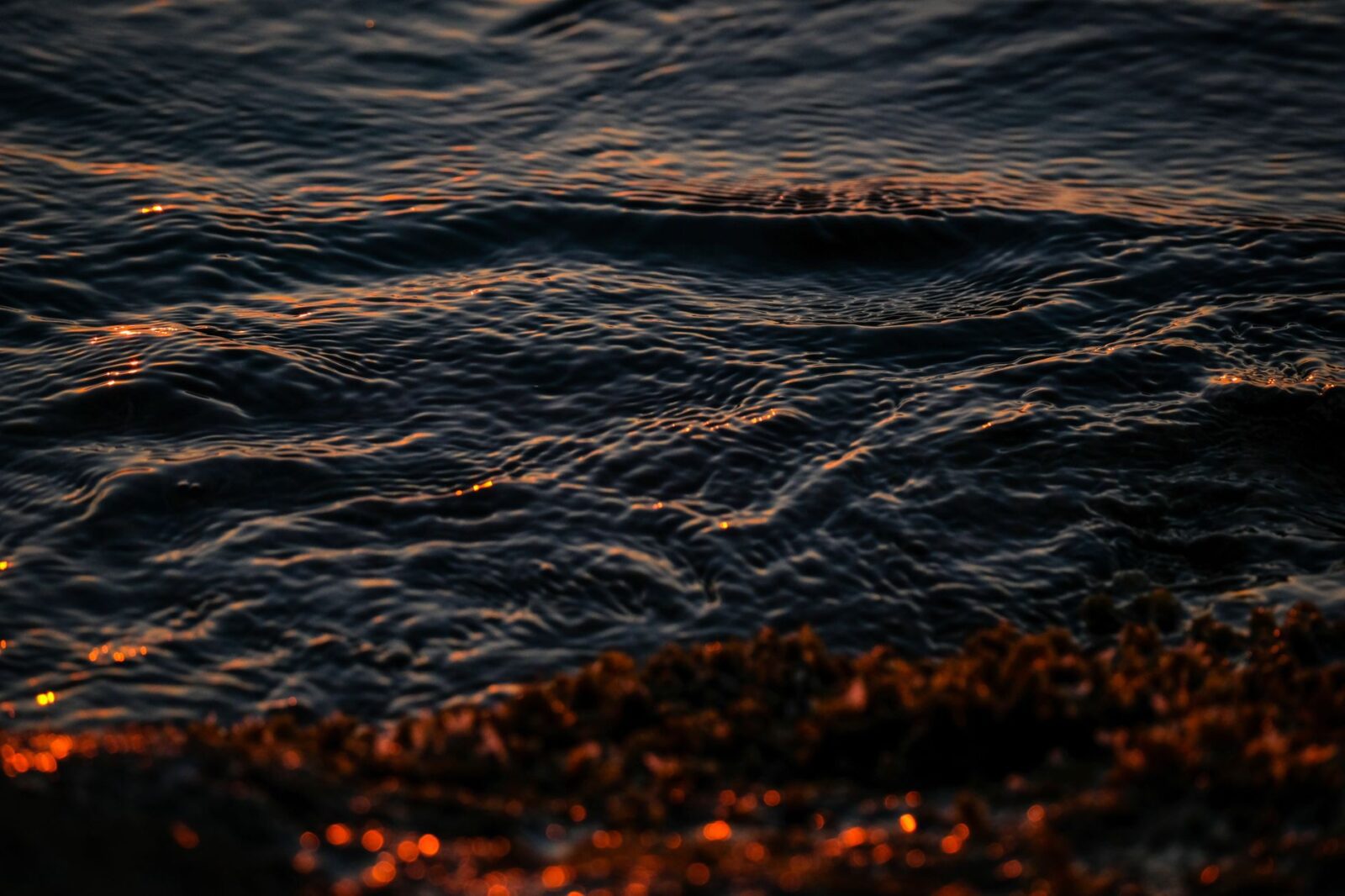 Mysterious Facts About the Bermuda Triangle That Baffle Scientists - Photo by Francesco Ungaro on Pexels