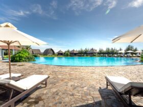 I'm TPG's hotels reporter — these are my favorite hotels - Photo by Quang Nguyen Vinh on Pexels