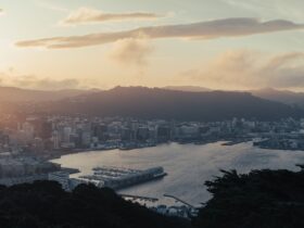 English language requirement extended to AEWV skill level 3 roles - Photo by Donovan Kelly on Pexels