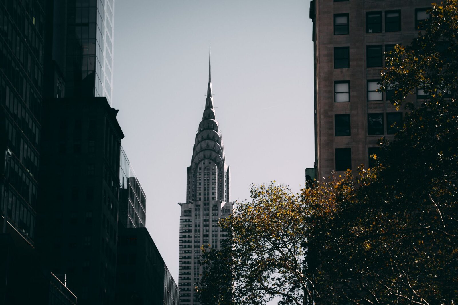 Countries With the Most Skyscrapers in the World - Photo by Matthis Volquardsen on Pexels