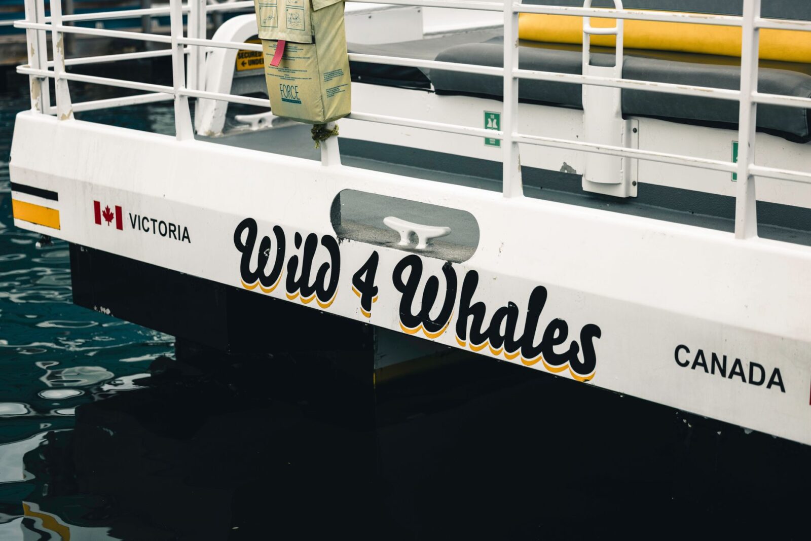 Alaska Cruise vs Caribbean Cruise Which Should You Choose - Photo by Ali Kazal on Pexels