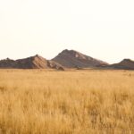 Africa Is Not a Country, But the Travel Industry Keeps Treating It Like One - Photo by op23 on Pexels
