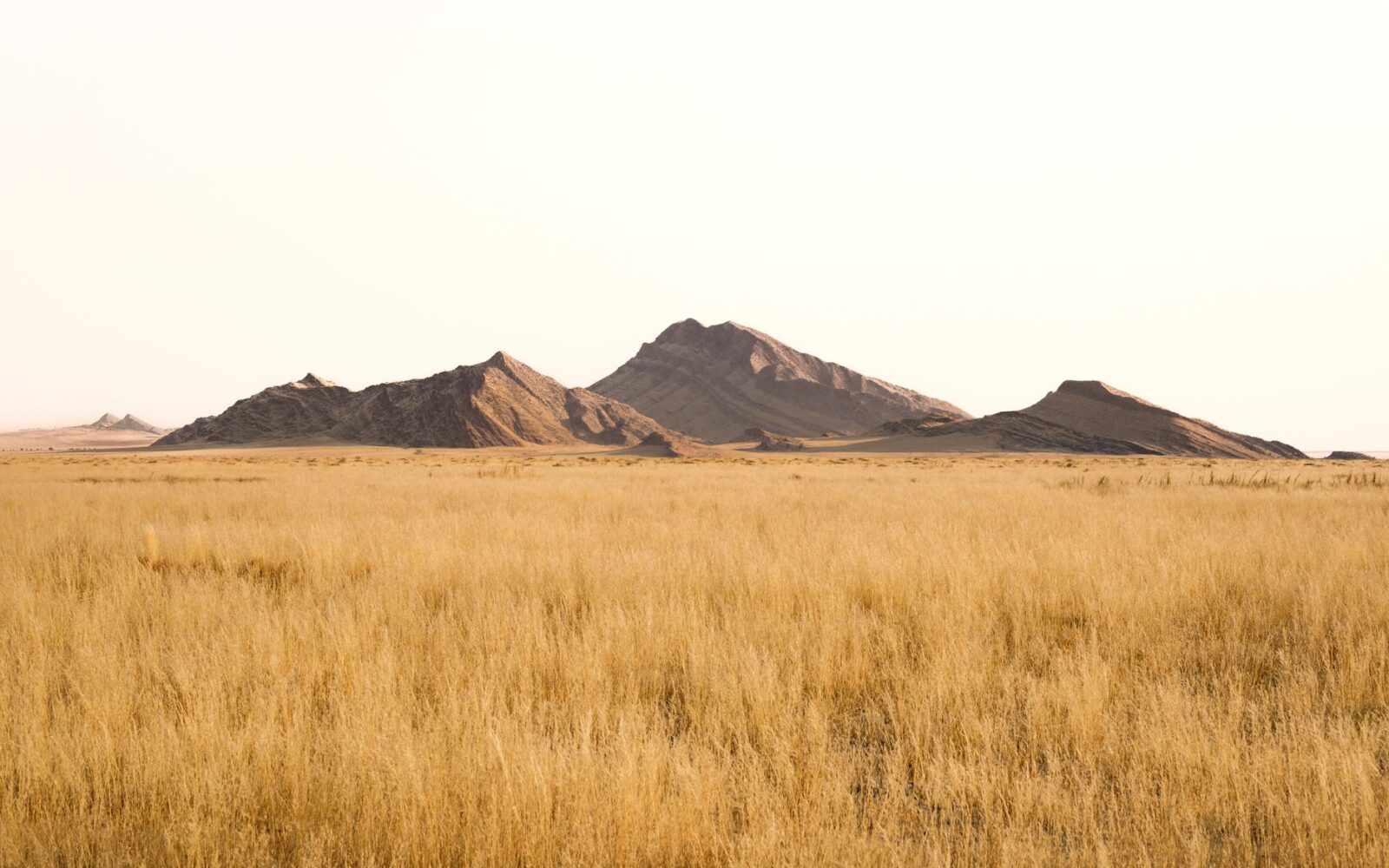 Africa Is Not a Country, But the Travel Industry Keeps Treating It Like One - Photo by op23 on Pexels