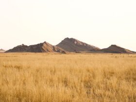 Africa Is Not a Country, But the Travel Industry Keeps Treating It Like One - Photo by op23 on Pexels