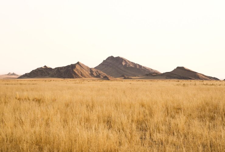 Africa Is Not a Country, But the Travel Industry Keeps Treating It Like One - Photo by op23 on Pexels