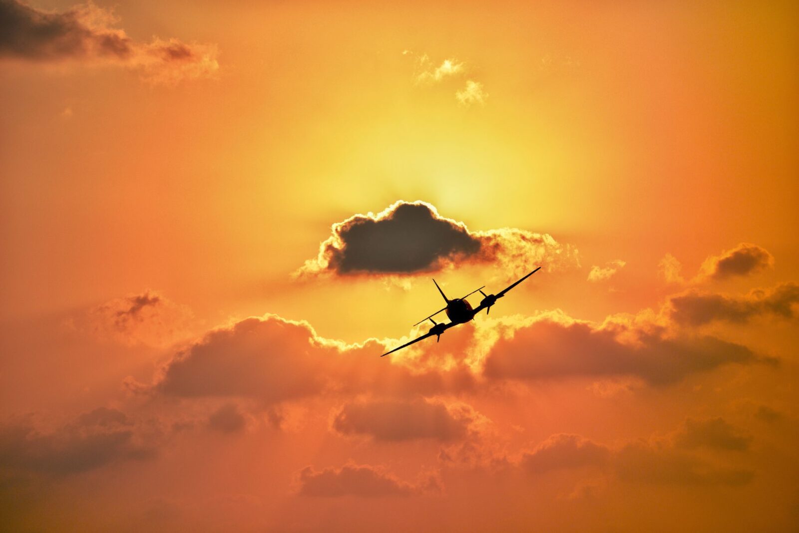 find cheap flights - Photo by Morteza Akhnia on Pexels
