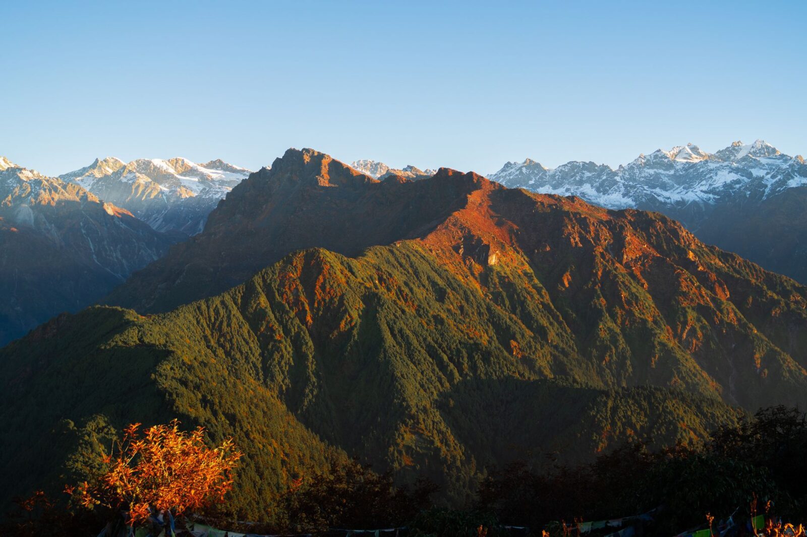 Hidden Temples and Monasteries of the Himalayas - Photo by Sajal Niraula on Pexels