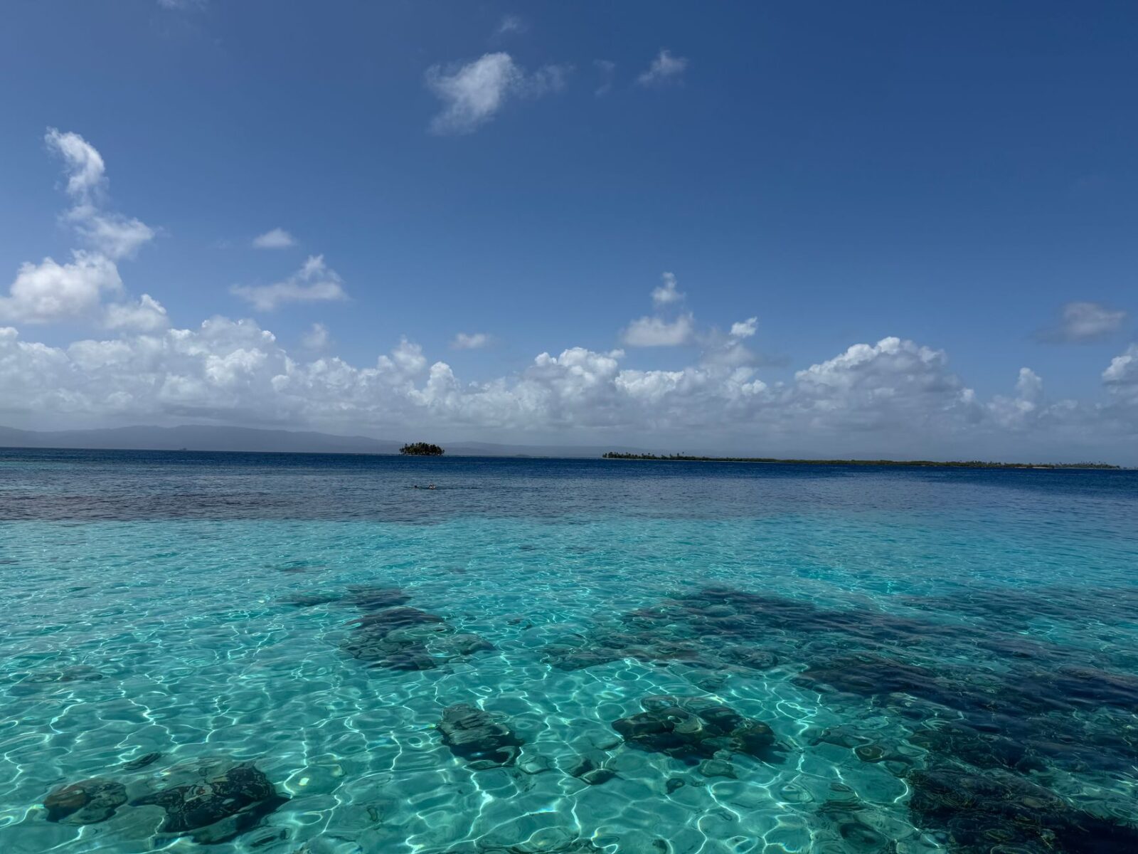 Alaska Cruise vs Caribbean Cruise Which Should You Choose — Updated Guide - Photo by Rodolfo Caicedo on Pexels