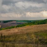 Level 1 - Hepatitis A in Canada - Photo by Aria Film on Pexels