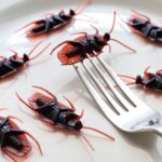 Strangest Foods You Can Only Find in Southeast Asia — Updated Guide - Photo by Roger Brown on Pexels