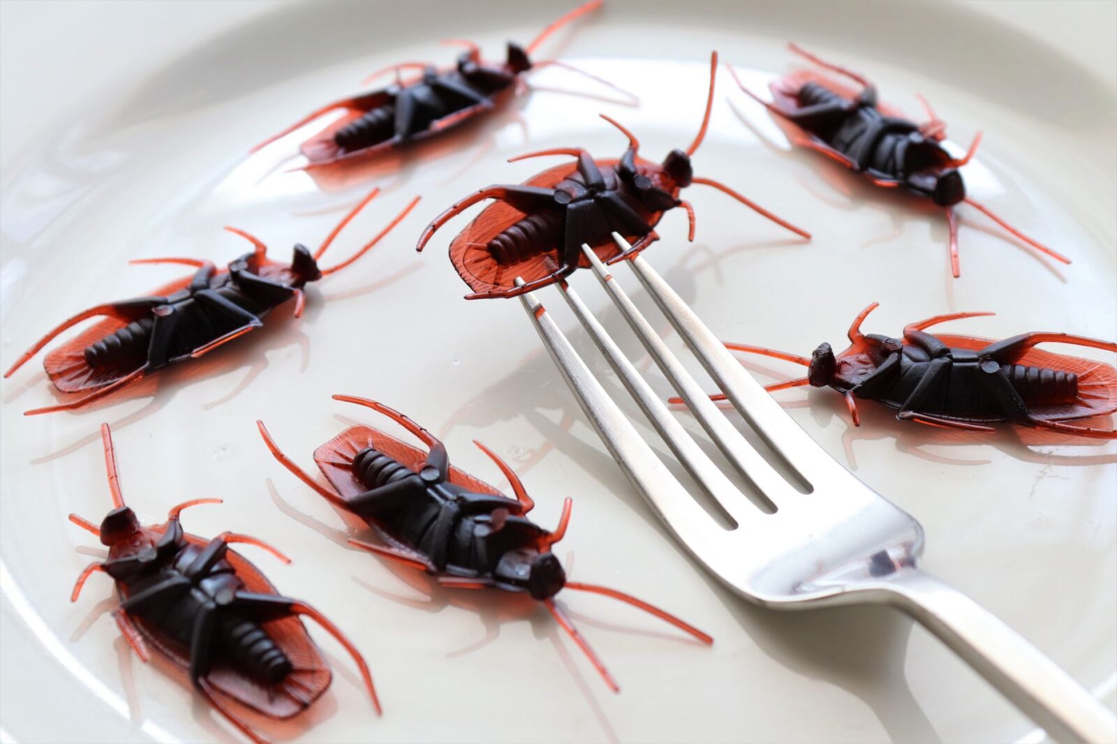 Strangest Foods You Can Only Find in Southeast Asia — Updated Guide - Photo by Roger Brown on Pexels