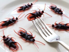 Strangest Foods You Can Only Find in Southeast Asia — Updated Guide - Photo by Roger Brown on Pexels
