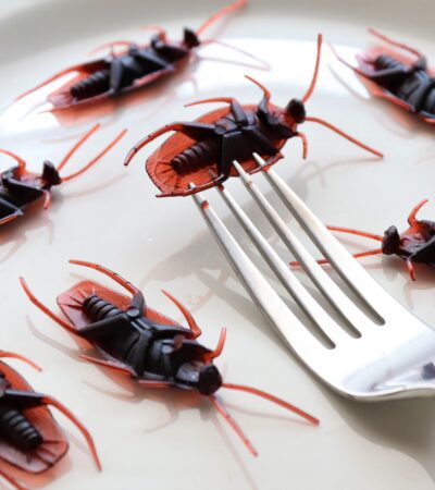 Strangest Foods You Can Only Find in Southeast Asia — Updated Guide - Photo by Roger Brown on Pexels