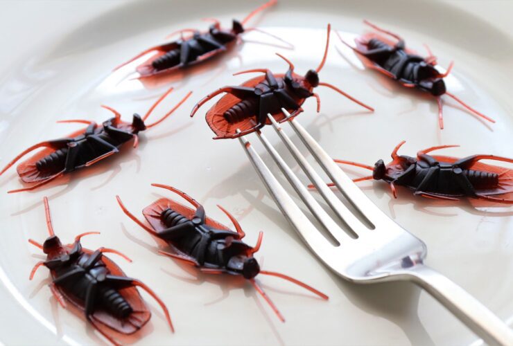 Strangest Foods You Can Only Find in Southeast Asia — Updated Guide - Photo by Roger Brown on Pexels