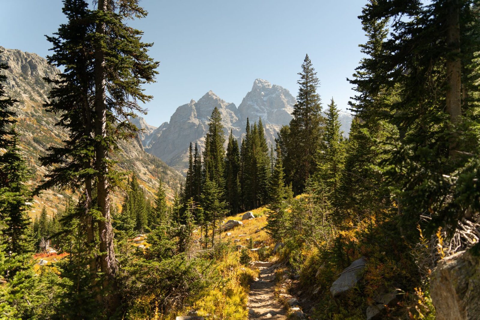 Best Himalayan Trekking Routes for Beginners - Photo by Alex Moliski on Pexels