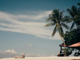 10 Unique Countries Without Land Borders You Should Know About — Updated Guide - Photo by Alexis Ricardo Alaurin on Pexels