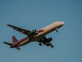 Air India and Thai Airways deepen partnership - Photo by Nguyễn Hoàng Văn on Pexels