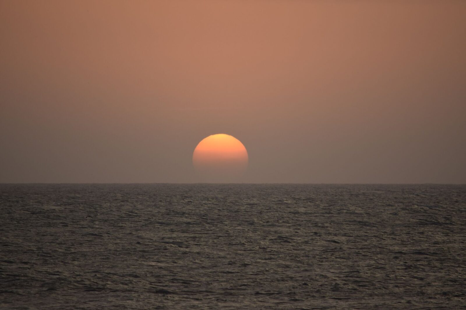 last minute cruise deals - Photo by Magali Guimarães on Pexels