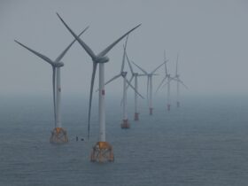 Companies agree to stronger workers’ rights in clean energy - Photo by gong qianlan on Pexels