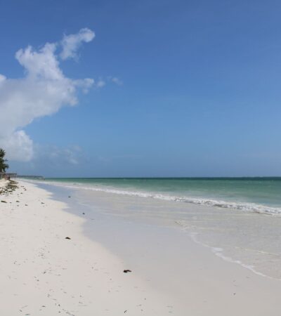 Maldives on a Budget Is It Actually Possible - Photo by Ana Kenk on Pexels