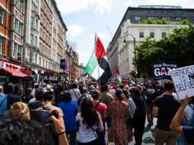 Action on Preventing Sexual Violence in Conflict is strengthened as new Special Envoy Appointed - Photo by Guy Joben on Pexels