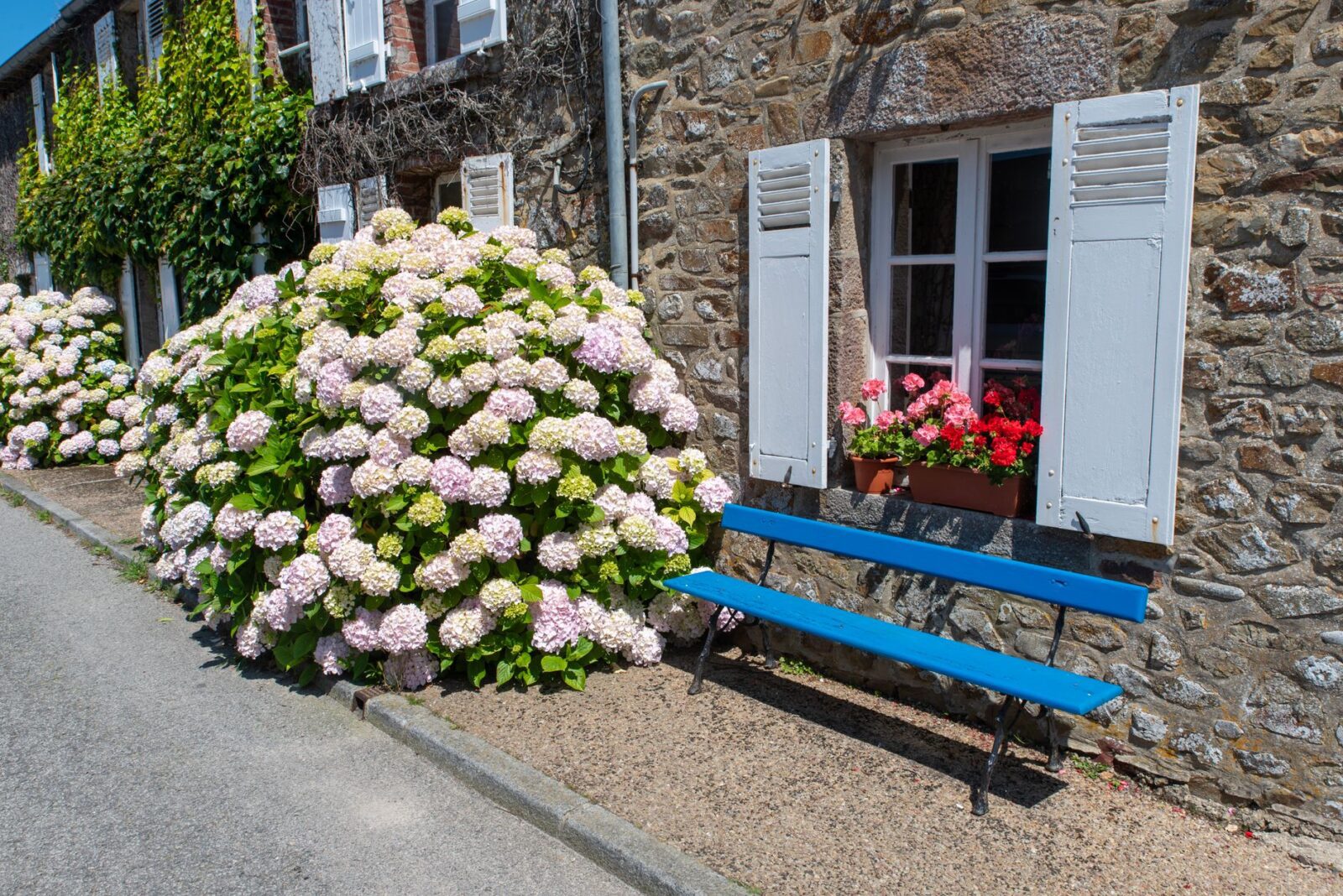 Île de Ré Is France’s Answer to Martha’s Vineyard: A Guide to the Island - Photo by Jan van der Wolf on Pexels